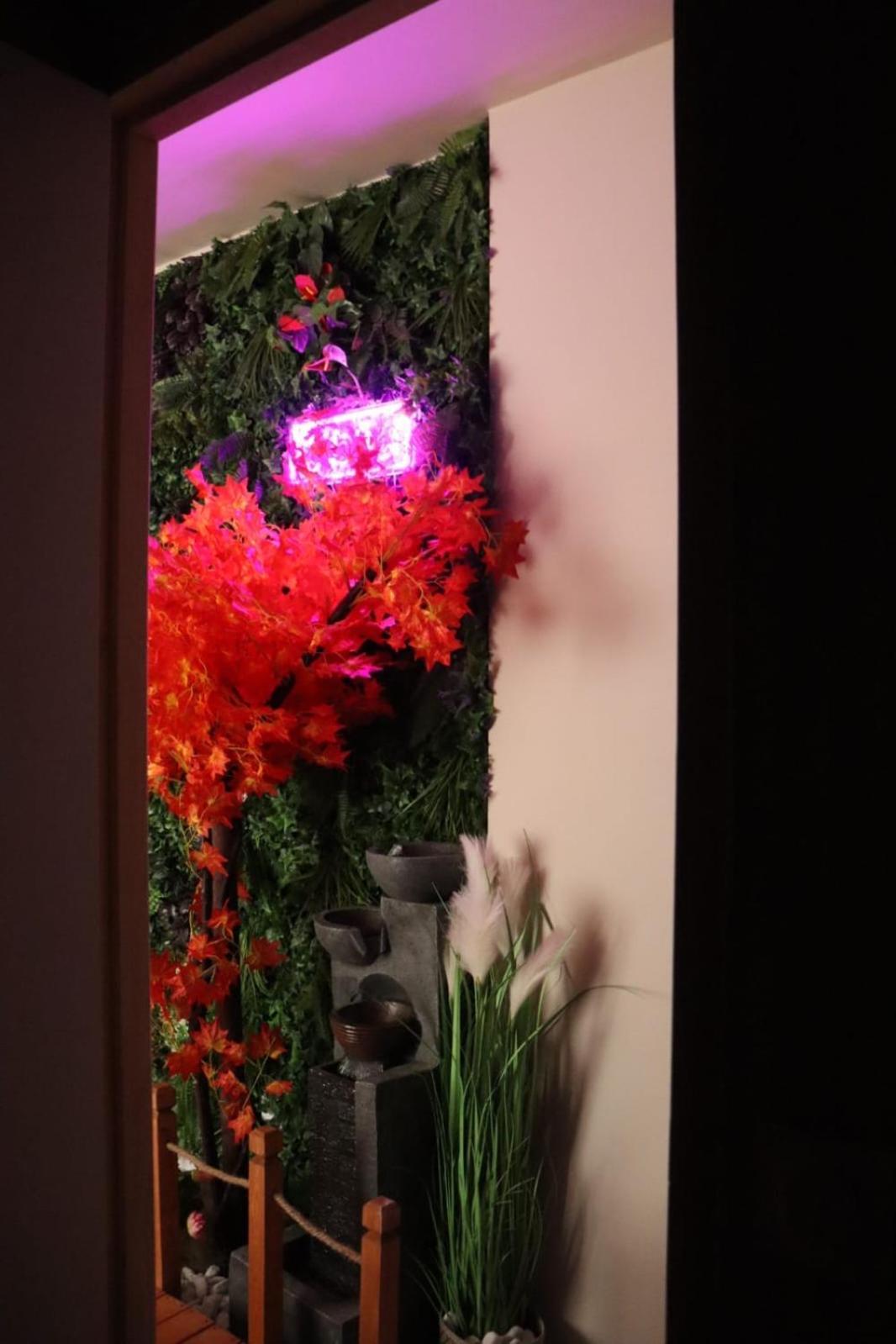 Loveroom Japon Avec Balneotherapie Toulon Luaran gambar